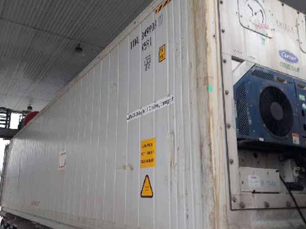 thuê container lạnh làm kho tại Thái Bình