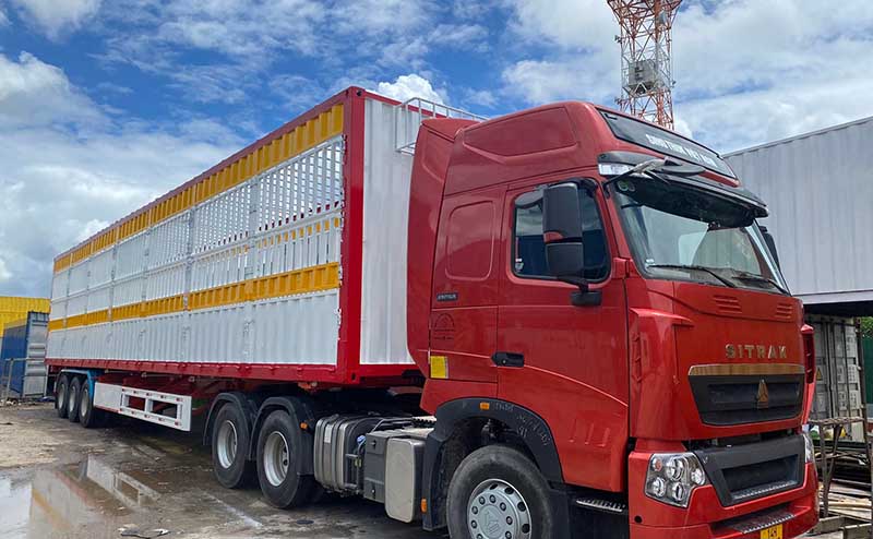 Container móc rao MS039