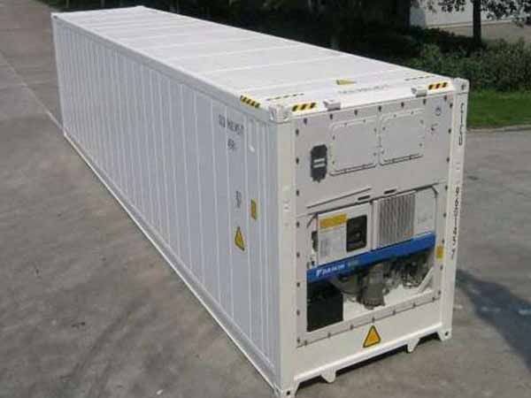 Mua container lạnh ở Hải Phòng